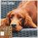 Avonside Irish Setter Calendar 2024