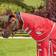 Weatherbeeta Comfitec Classic Medium Turnout Neck Cover - Red/Silver
