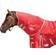 Weatherbeeta Comfitec Classic Medium Turnout Neck Cover - Red/Silver