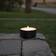 Star Trading Light Torch LED-ljus 7cm