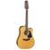 Takamine GD30CE-12