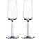 Iittala Senta Champagne Glass 7.101fl oz 2