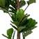 House Nordic Fiddle Leaf Konstgjord växt