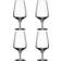 Orrefors Pulse Beer Glass 55cl 4pcs