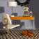 Jonathan Adler Acrylic Hippo Objet Prydnadsfigur 22.9cm