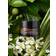 True Botanicals Renew Resurrection Radiance Eye Cream 15 ml 15ml