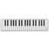 CME Xkey Air 37