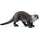 Schleich Wild Life Otter 14865