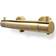 Blue Label Brondby (2720816) Brushed Gold