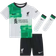 Nike Liverpool Away Dri Fit Kit 2023-24