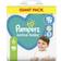 Pampers Active Baby Size 6 engangsbleer 13-18 kg 56 stk