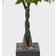 Nearly Natural 5ft Money in Black Square Planter Artificial Plant