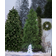 Star Trading Calgary with LED Juletræ 210cm