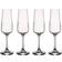 Villeroy & Boch Ovid Flûte à Champagne 25cl 4pcs