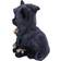 Nemesis Now Feline Cloaked Grim Reaper Cat Dekofigur 20.1cm