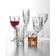 Waterford Marquis Markham Wine Glasses Set of 4 Verre à Vin 35.5cl 4pcs