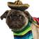 Rubies Mexican Sarape Pet Costume