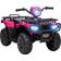 Homcom Quad Bike 12V