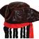 Beistle Caribbean Pirate Hat Adult