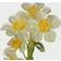 National Tree Company 9" Potted Narcissus Artificial Plant