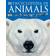 encyclopedia of animals (Copertina flessibile, 2006)