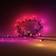 Philips Hue Festavia Ljusslinga 250 Lampor