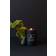 Amazing Space Ficus Boost your Confidence Duftlys 180g