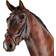 Collegiate Bridons équitation anatomique Weatherbeeta Comfitec Vogue Marron