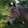 Collegiate Bridons équitation anatomique Weatherbeeta Comfitec Vogue Marron