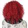 California Costumes Corkscrew Curls Clown Wig for Adults Red