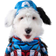 Jazwares Marvel Captain America Pet Costume