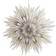Watt & Veke Sofie White and Black Advent Star ∅ 64cm
