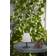 Star Trading Kreta Lampe de table 26.5cm