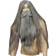 Lacey Wigs Wizard Wig & Beard Set