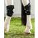Back On Track Hock Boot - Black