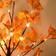 Union Artificial Fall Lighted Maple 24 Thanksgiving Decorations Decorative Item