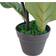 Leaf Fiddle Fig Tree Artificial Plant