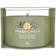 Yankee Candle Sage & Citrus votive Signature Scented Candle