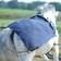 Busse Lunge Fly Rug 6'9-7'0