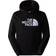 The North Face Mens Drew Light Drew Peak Pullover Hoodie, Black