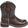 Ariat Fatbaby Heritage Dapper W - Royal Chocolate