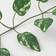 IKEA Smycka Artificial Plant