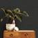 Superfresco Easy Easy Serenity (120724)