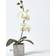 Homescapes Orchid Flowers White Artificial Plant