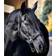 Catago Halter For Horse FIR-Tech - Noir