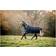 Horseware Amigo Bravo Turnout Rug, 50g, Navy/ Turquoise