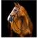 Horseware Rambo Micklem 2 Deluxe Competition Tävlingsträns - Med Tyglar