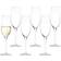 Stölzle Lausitz Ultra Flute Champagne Glass 18.5cl 6pcs