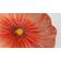 Byon Asian poppy Assiett 21cm