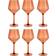 Fortessa Sole Free Premium Copolyester Wine Glass